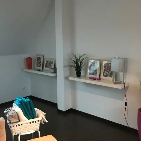 Lägenhet Avec Garage Centre Historique Colmar