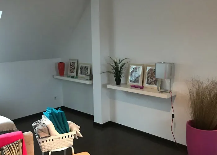 Apartment Avec Garage Centre Historique Colmar